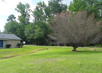 Pinehaven Villas Exterior